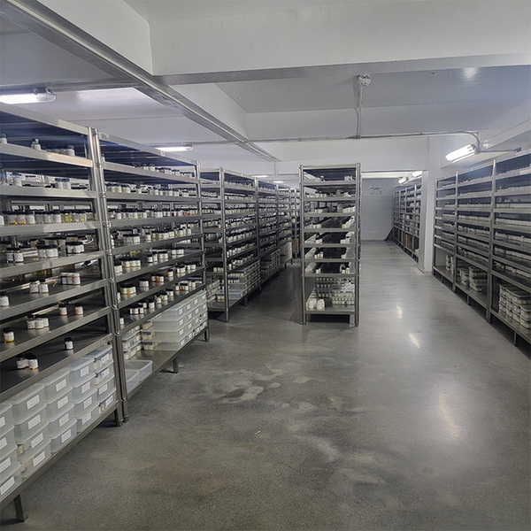 Guangzhou plant fragrance Co., Ltd निर्माता उत्पादन लाइन
