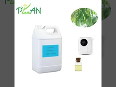 यूकेलिप्टस डिफ्यूज़र सुगंध शुद्ध प्राकृतिक फ्रांस चाय के पेड़ का तेल सुगंध