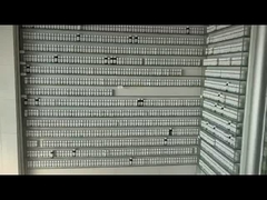 निःशुल्क नमूना लंबे समय तक रहने वाली सुगंधित एसेंस तेल शैम्पू के लिए दाली स्वाद सुगंधित तेल