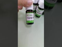 देखें कि शैम्पू बनाने के लिए वर्साचे फ्लोरल फ्रैगरेंस ऑयल 250ml क्यों चुनें